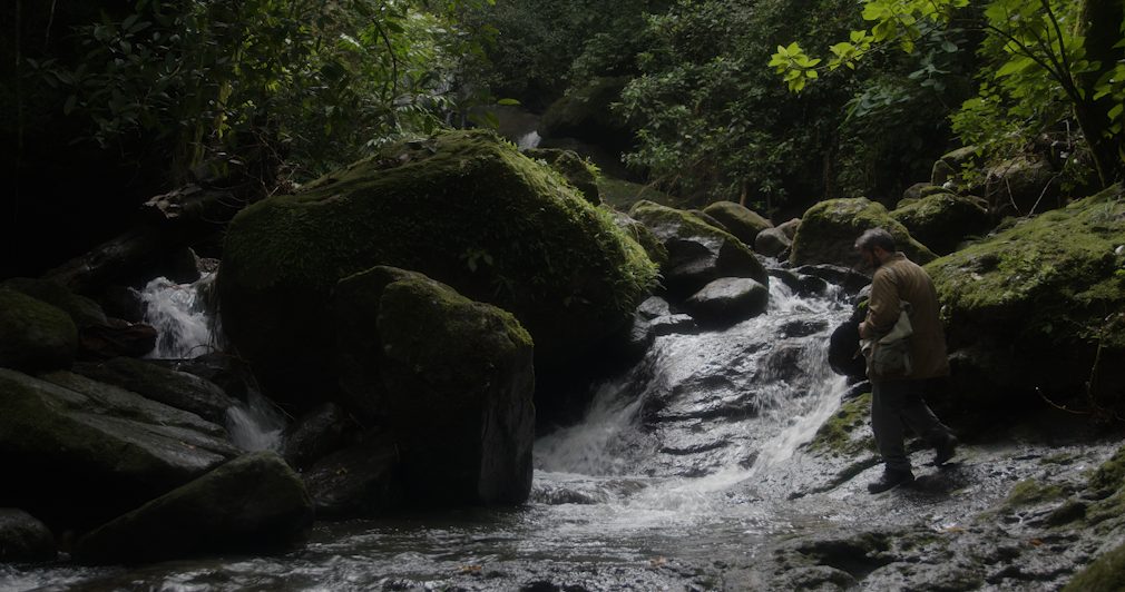 Salmones Rosas premiada en el 28.º Festival Ícaro Internacional de Guatemala
